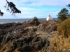 Wild Pacific Trail Ucluelet1