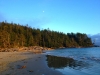 tonquin beach tofino