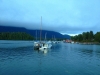 Tofino boat view