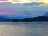 Paddlers at sunset tofino