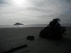 long-beach-haze