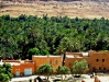 an-oasis-errachidia-morocco