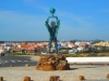 funny-sea-creature-at-vila-nova-de-milfontes-portugal