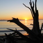 French Beach Provincial Park