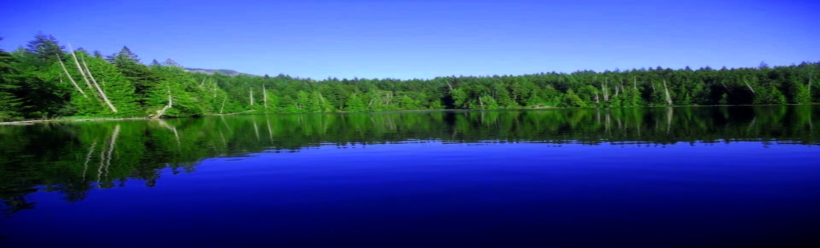 Lizard Lake reflections