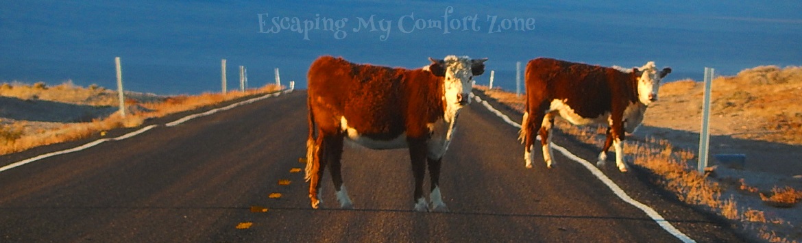 Hwy 375 Nevada